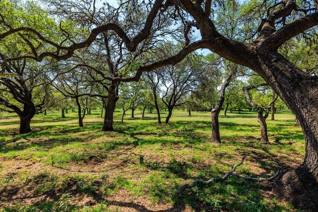 4.54 acres in Gillespie County