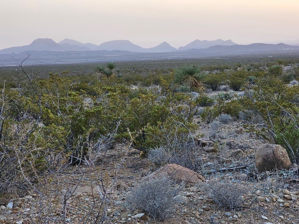 20 acres in Brewster County - photo 13