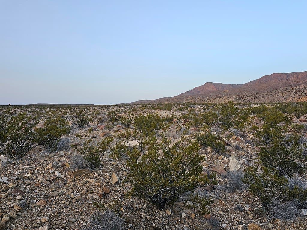 20 acres in Brewster County - photo 9