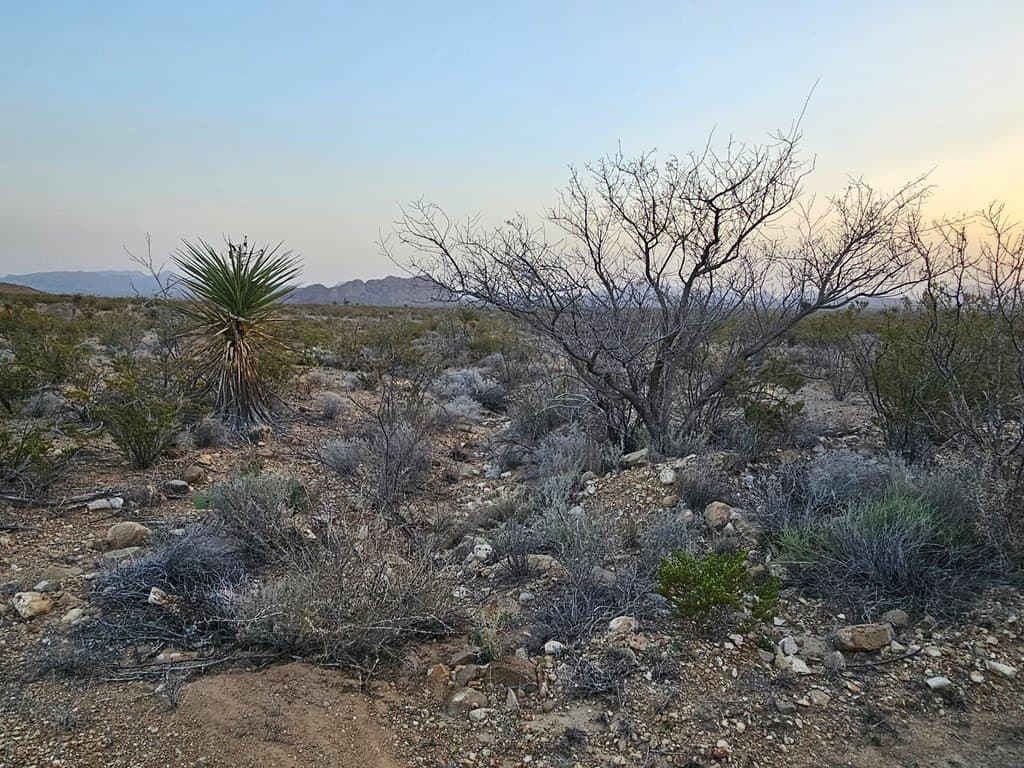 20 acres in Brewster County - photo 12