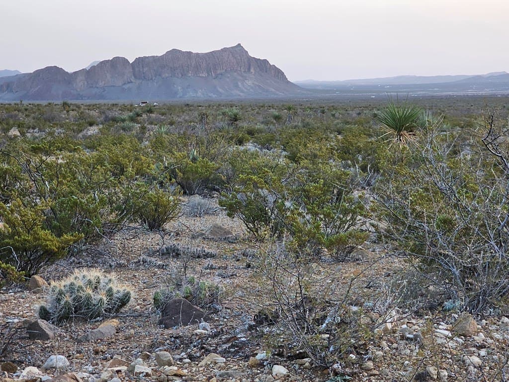 20 acres in Brewster County - photo 14