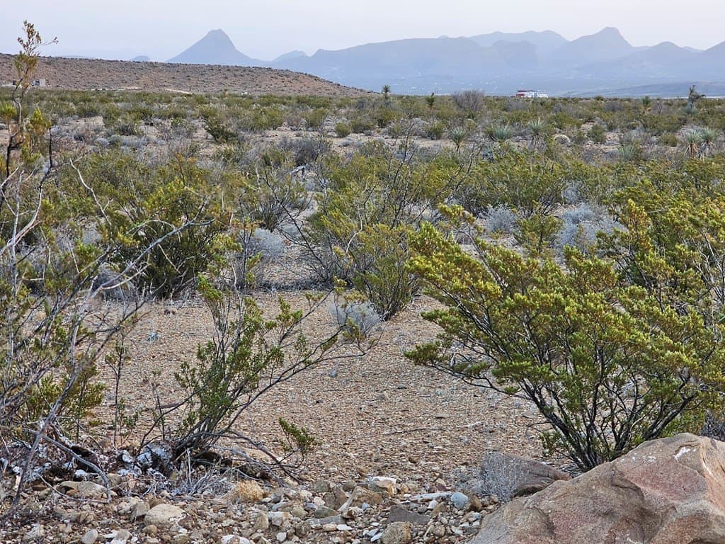 20 acres in Brewster County - photo 15