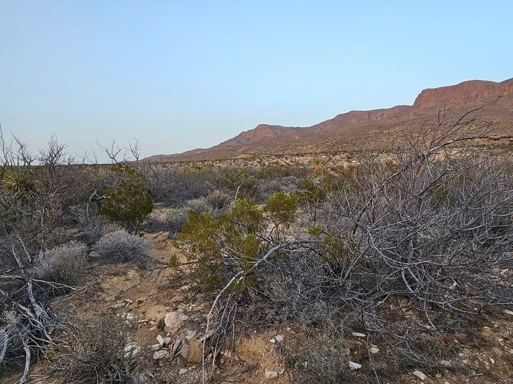 20 acres in Brewster County - photo 11