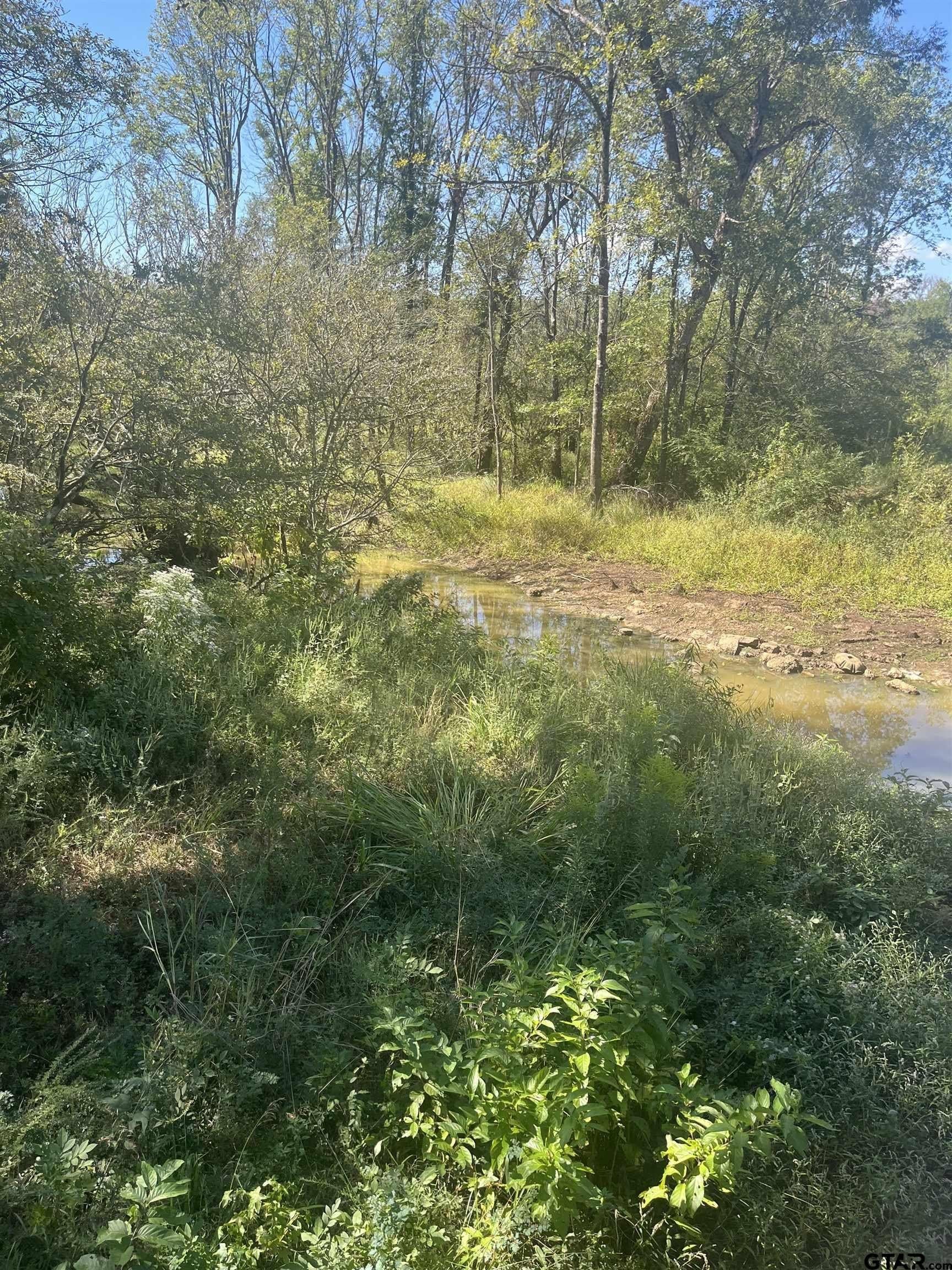 38.48 acres in Harrison County gallery image 4