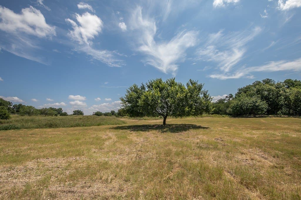 6.6 acres in Gillespie County gallery image 3