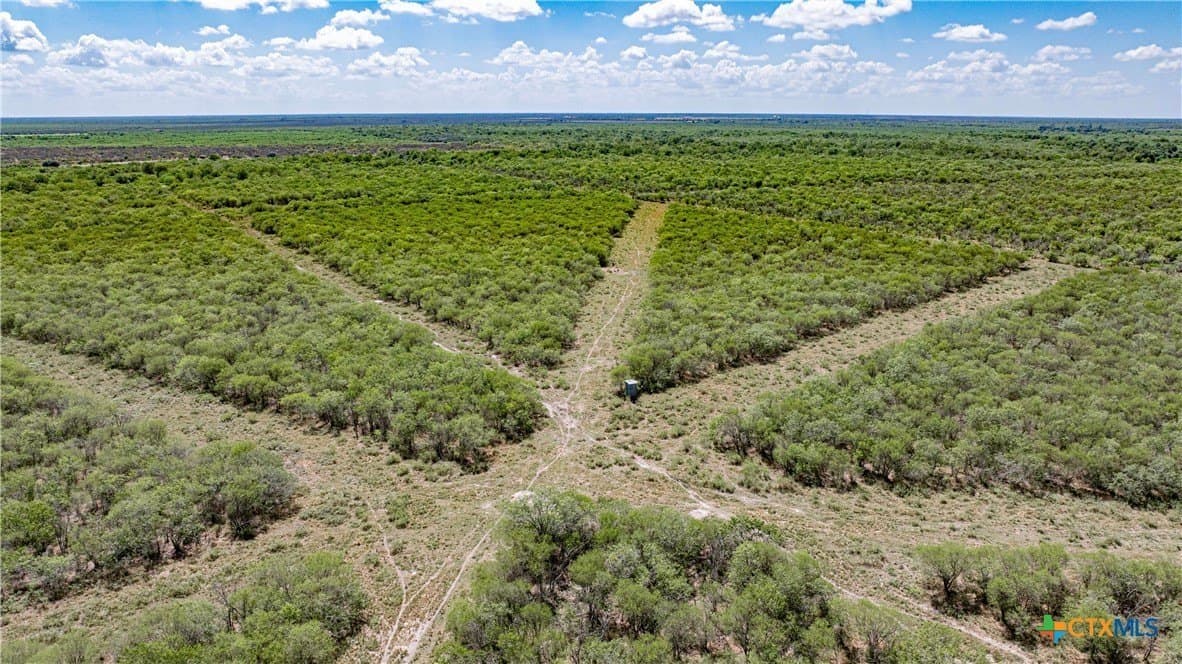 286.12 acres in Victoria County gallery image 3