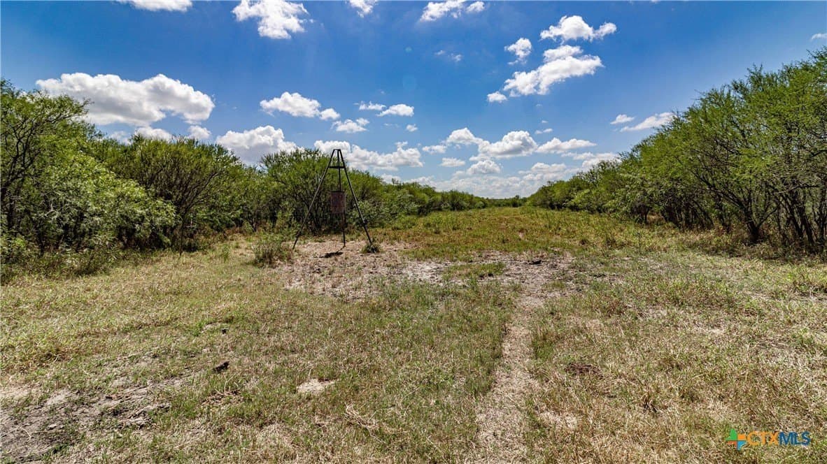 286.12 acres in Victoria County gallery image 4