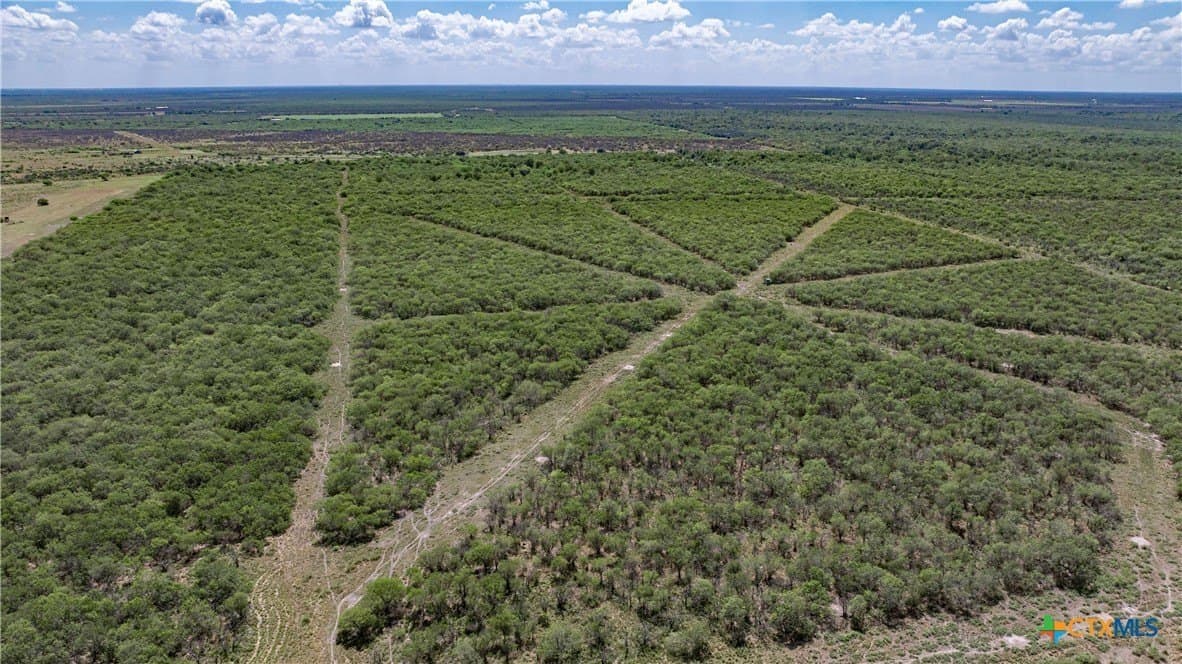 286.12 acres in Victoria County gallery image 2