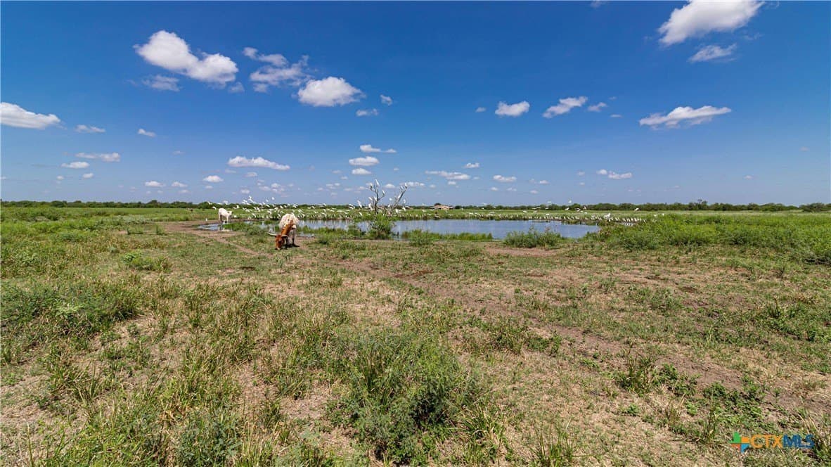 286.12 acres in Victoria County featured view