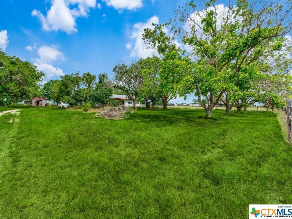 12.5 acres in Guadalupe County gallery image 4