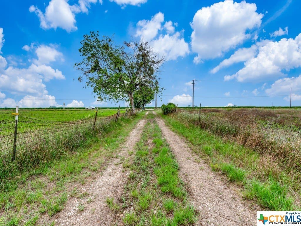 12.5 acres in Guadalupe County gallery image 3