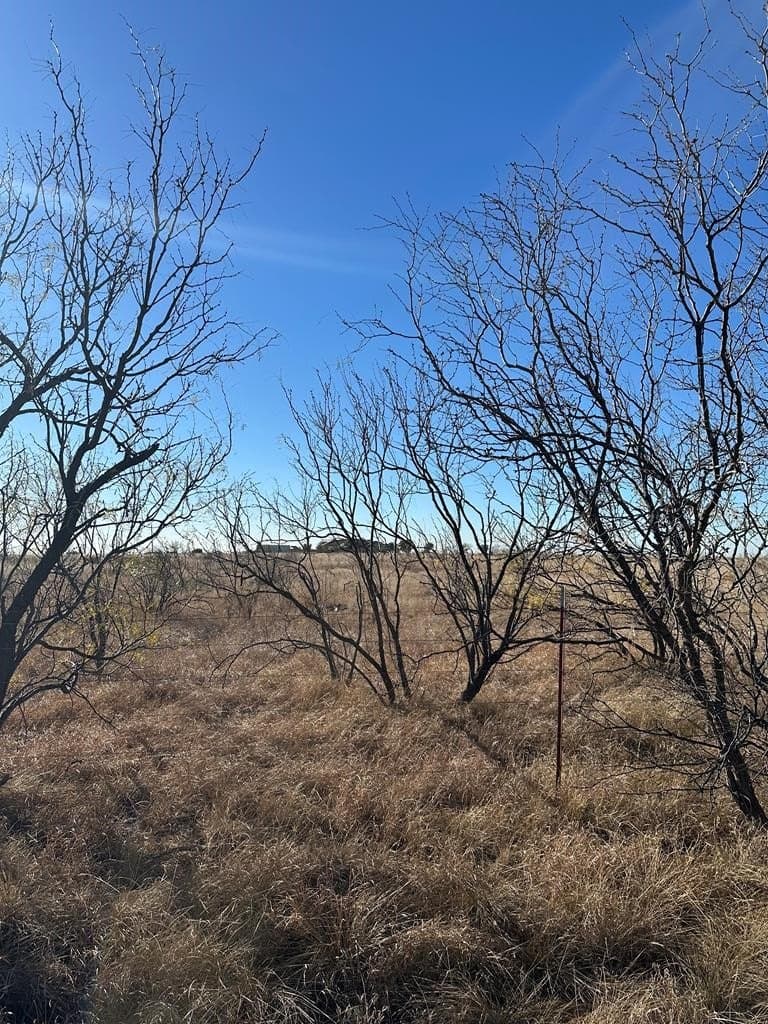 5 acres in Scurry County