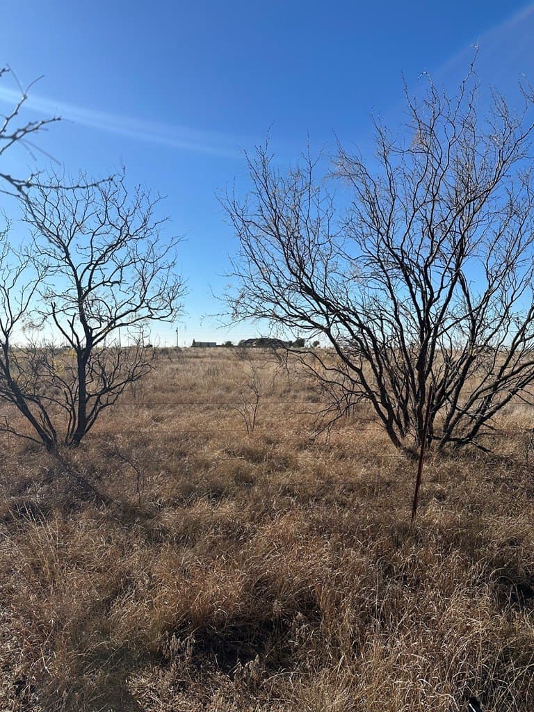5 acres in Scurry County gallery image 2