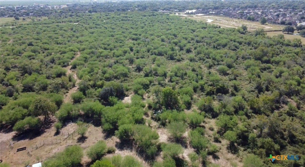 46.83 acres in Victoria County - photo 3