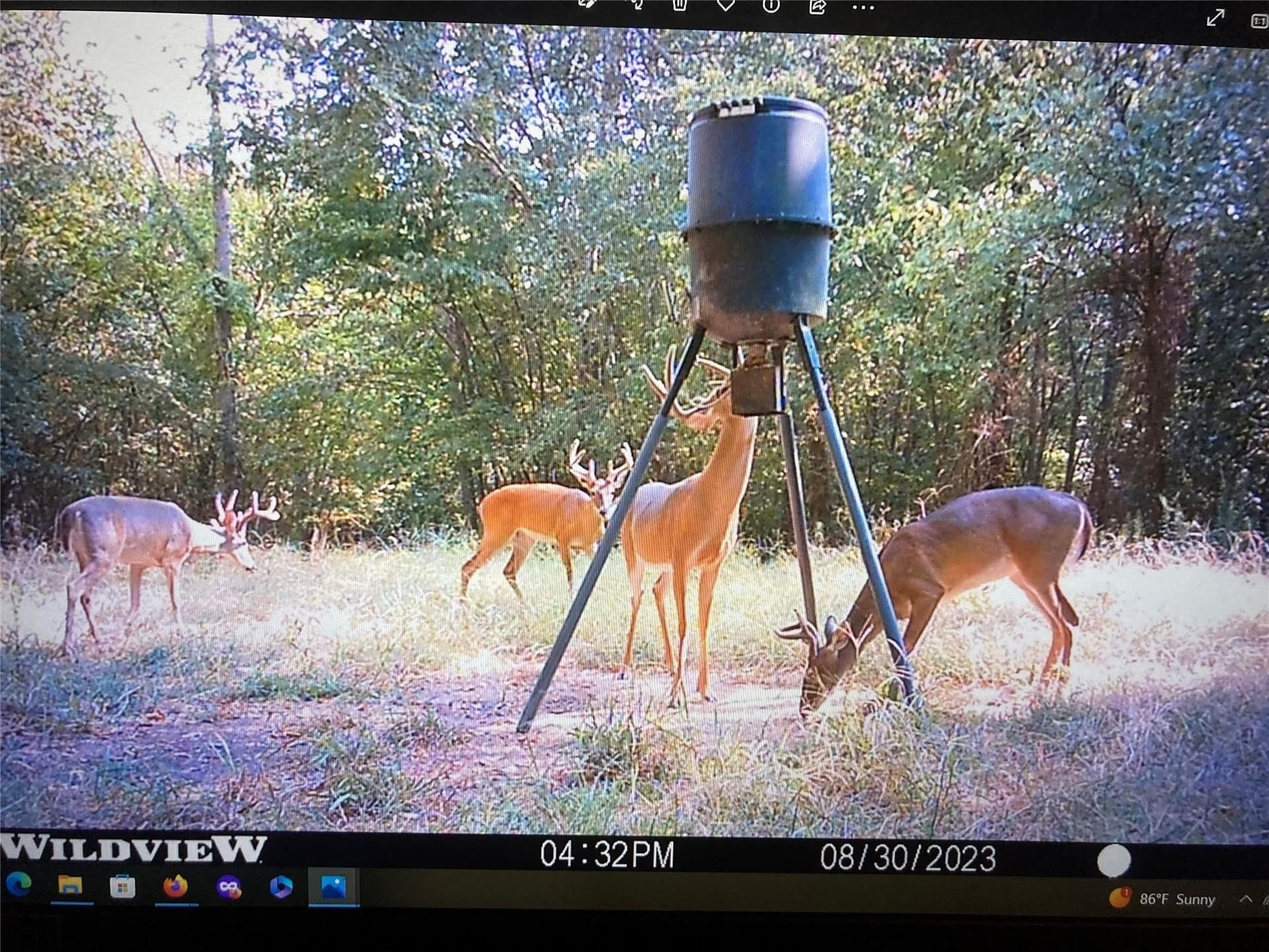 19.89 acres in Lamar County - photo 22