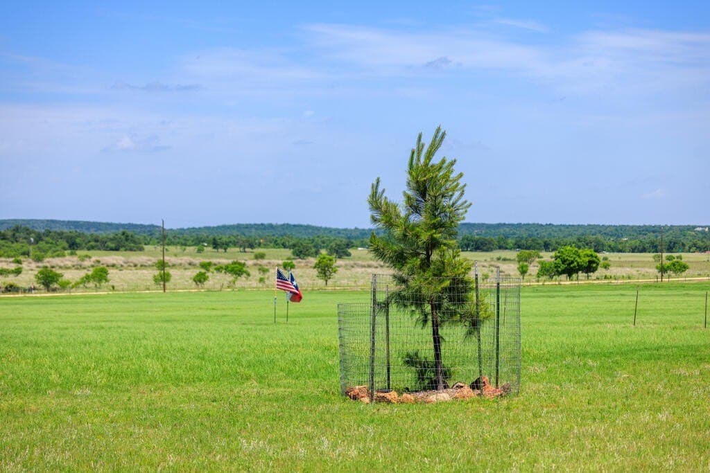 48.09 acres in Gillespie County - photo 32