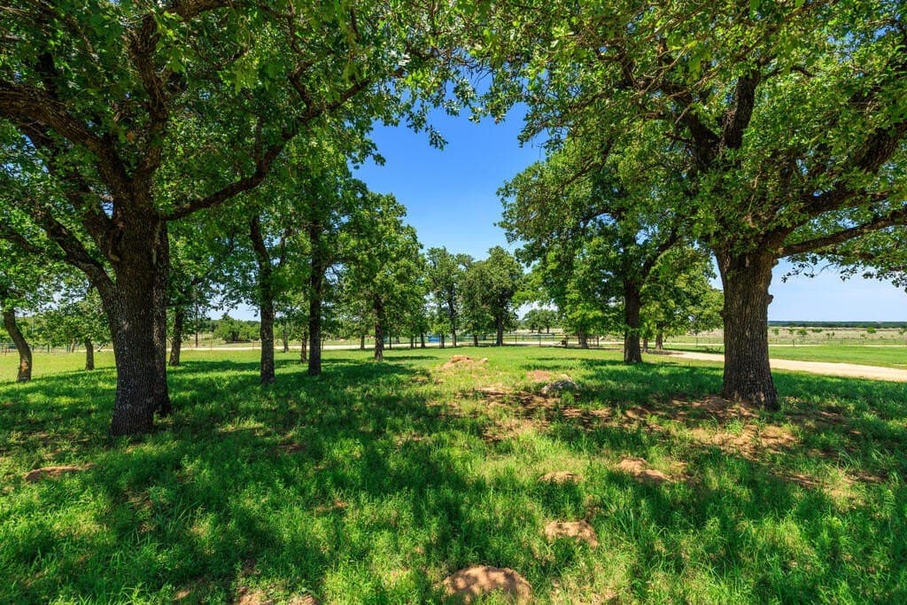 48.09 acres in Gillespie County - photo 3