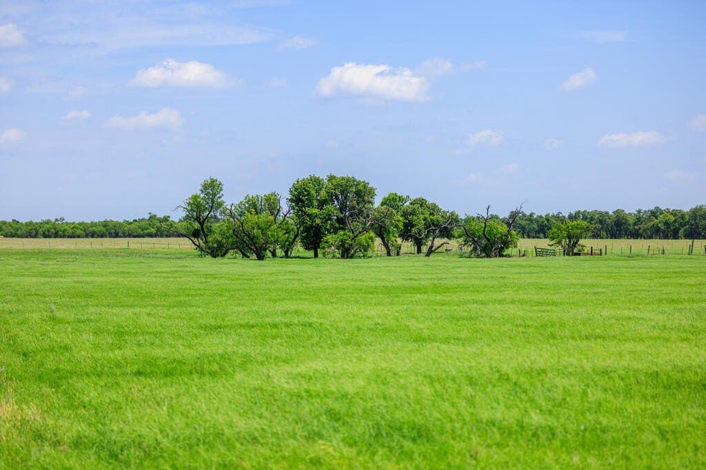 48.09 acres in Gillespie County - photo 26