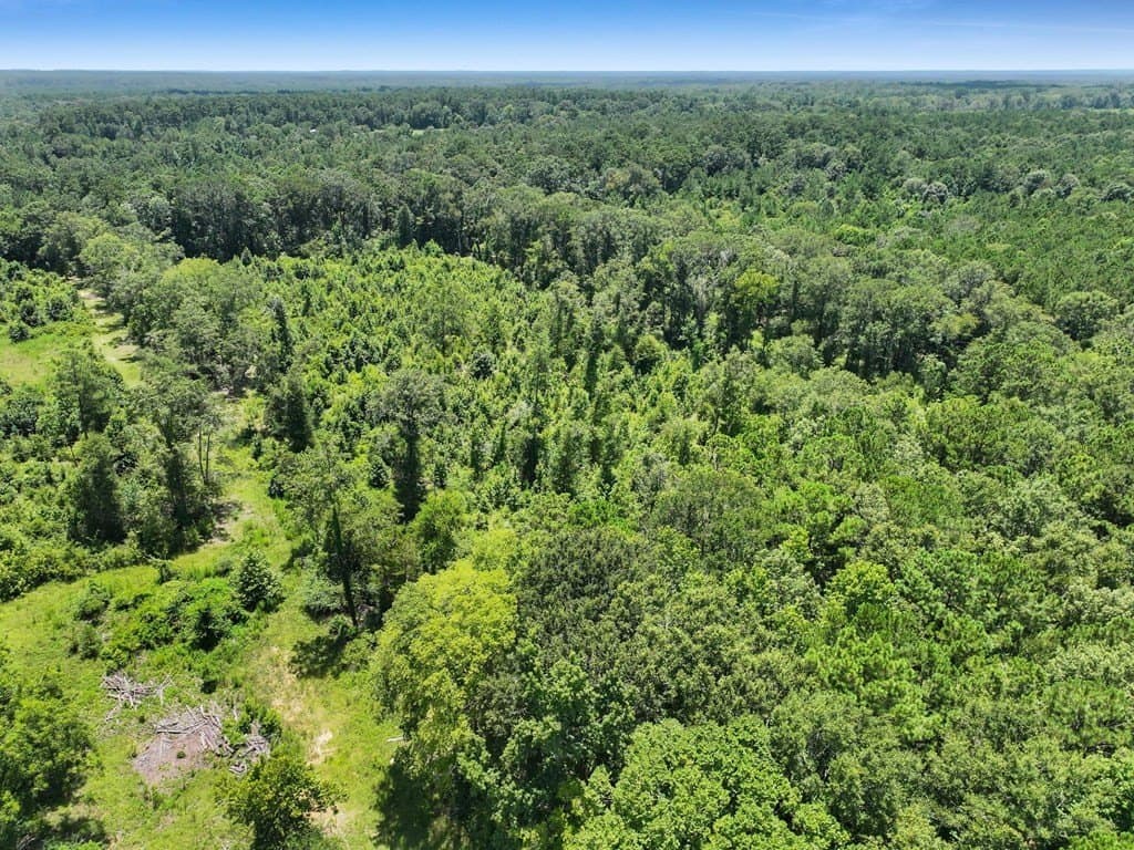 10.02 acres in Texas County featured view