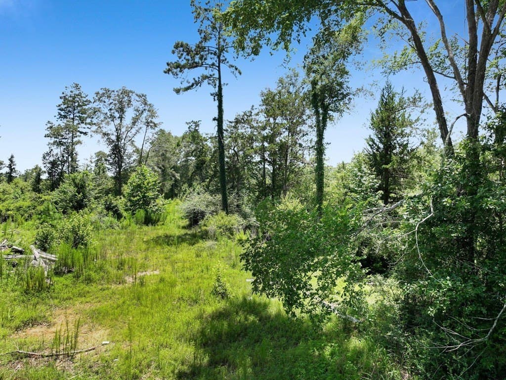 10.02 acres in Texas County - photo 6