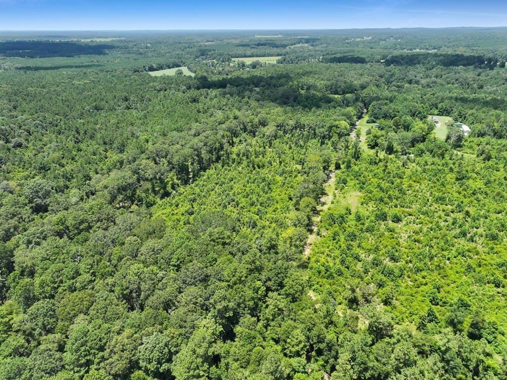10.02 acres in Texas County gallery image 4