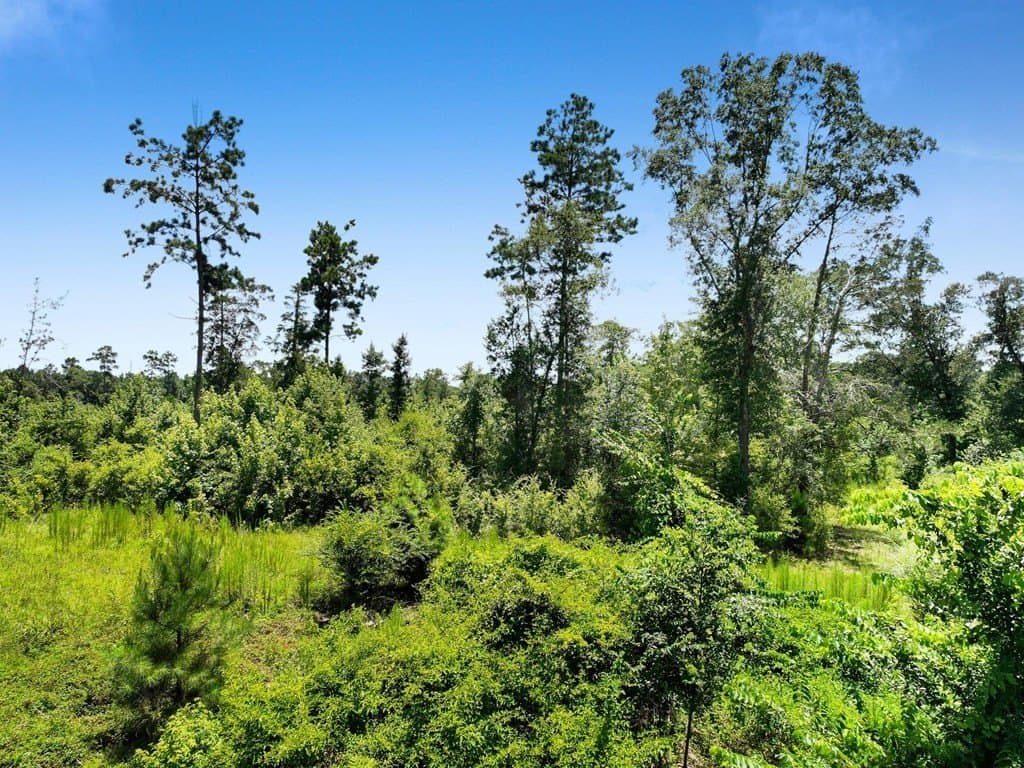 10.02 acres in Texas County - photo 9