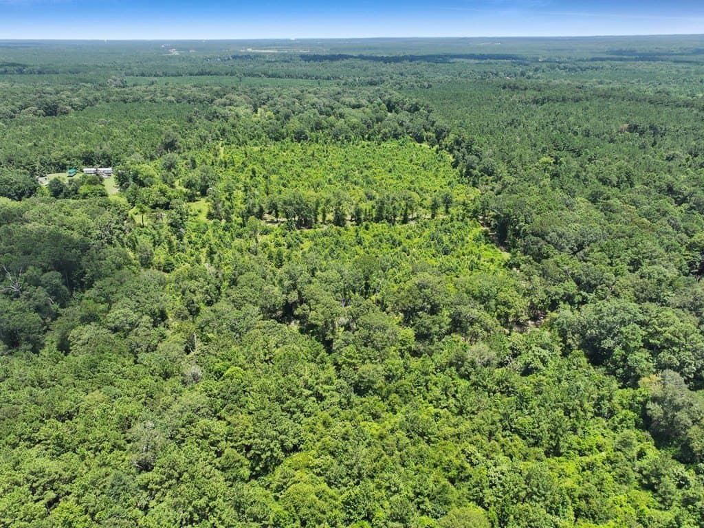 10.02 acres in Texas County gallery image 3
