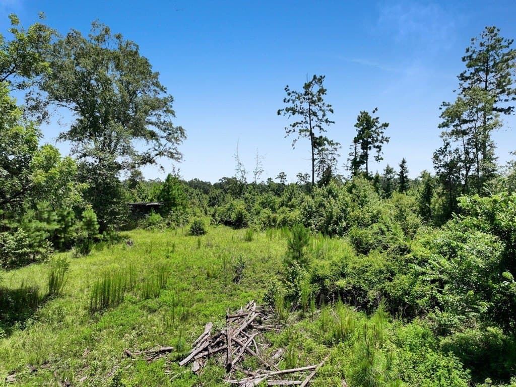 10.02 acres in Texas County - photo 7