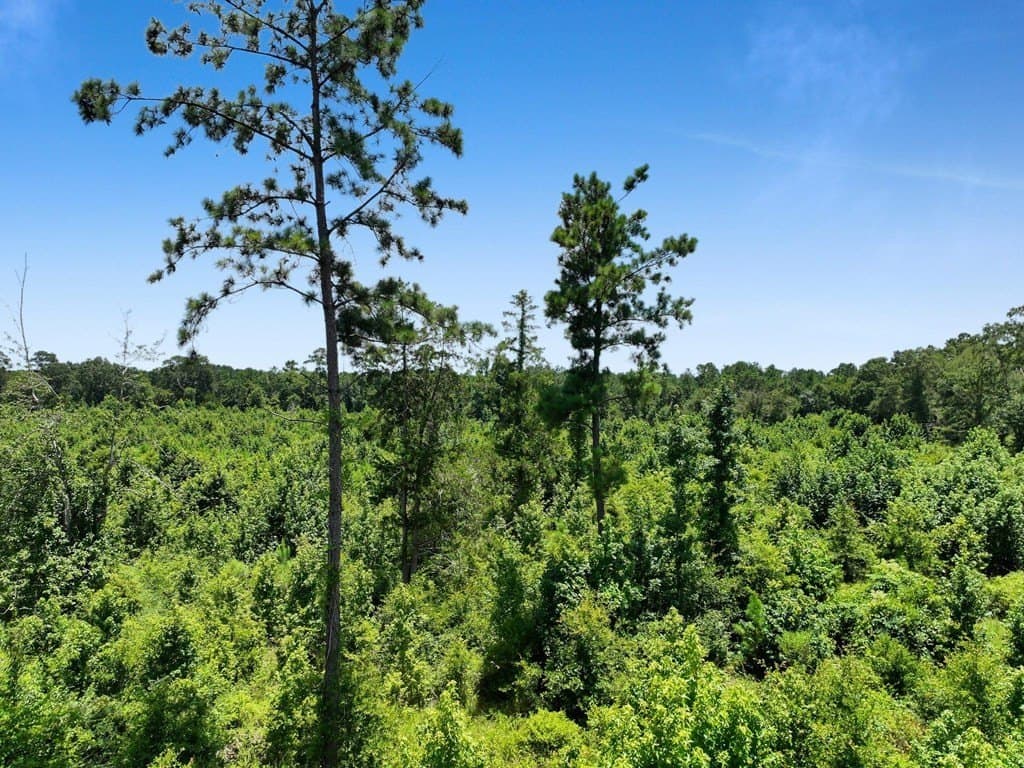 10.02 acres in Texas County - photo 8