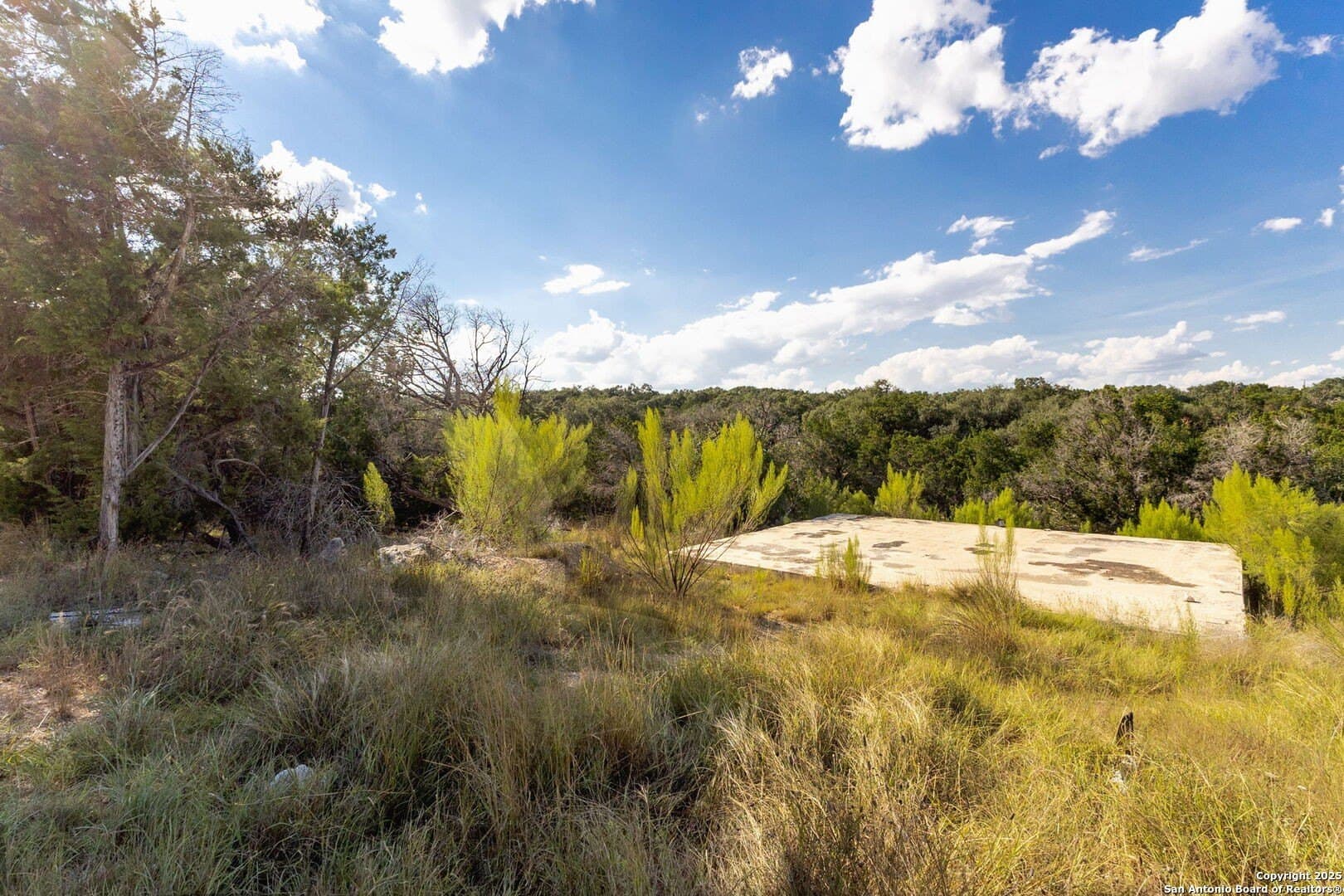0.31 acres in Comal County - photo 12
