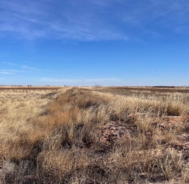 10.01 acres in Hockley County - photo 2