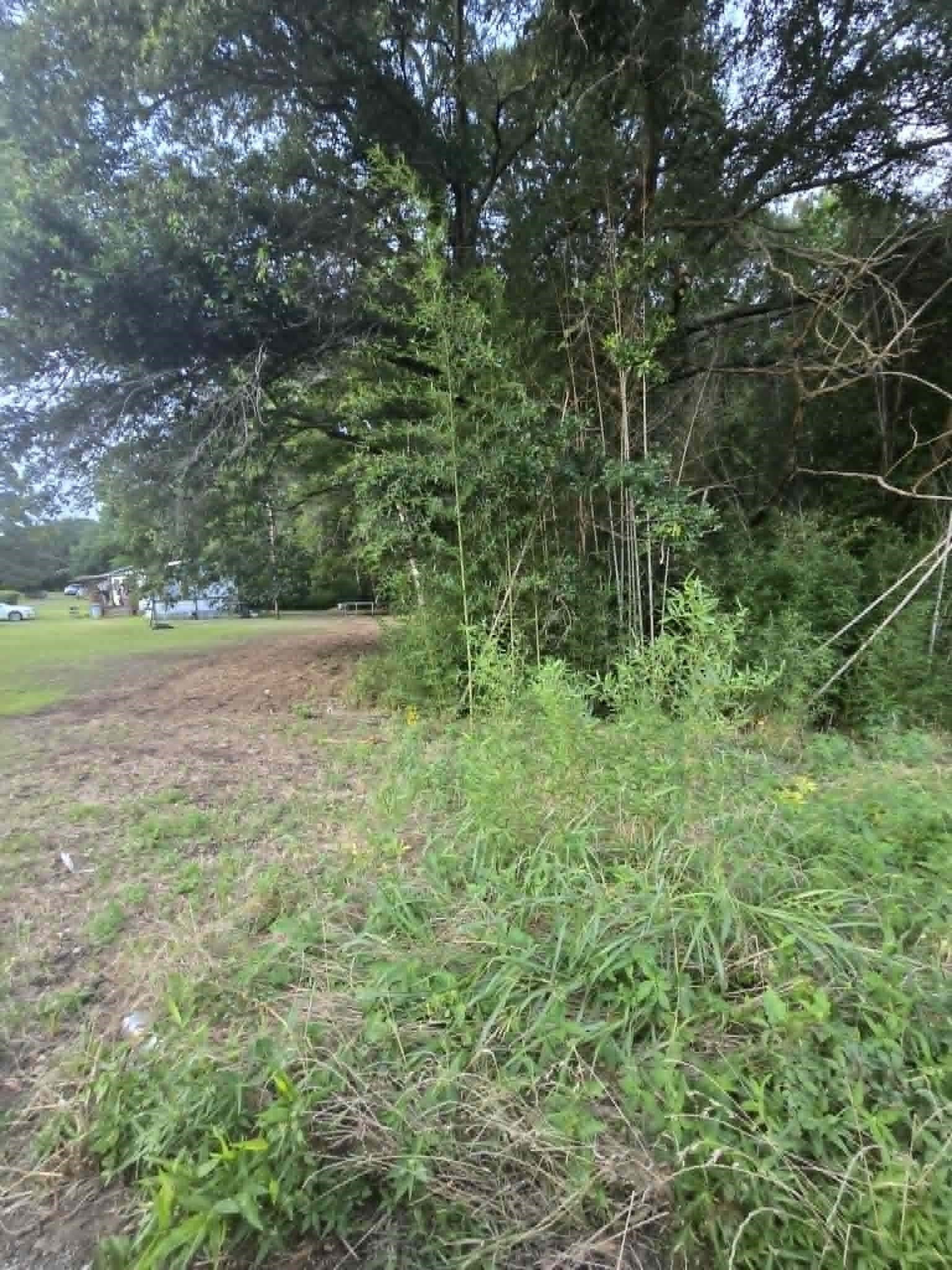 0.03 acres in Morris County - photo 3