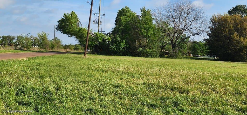 0.17 acres in Henderson County gallery image 4
