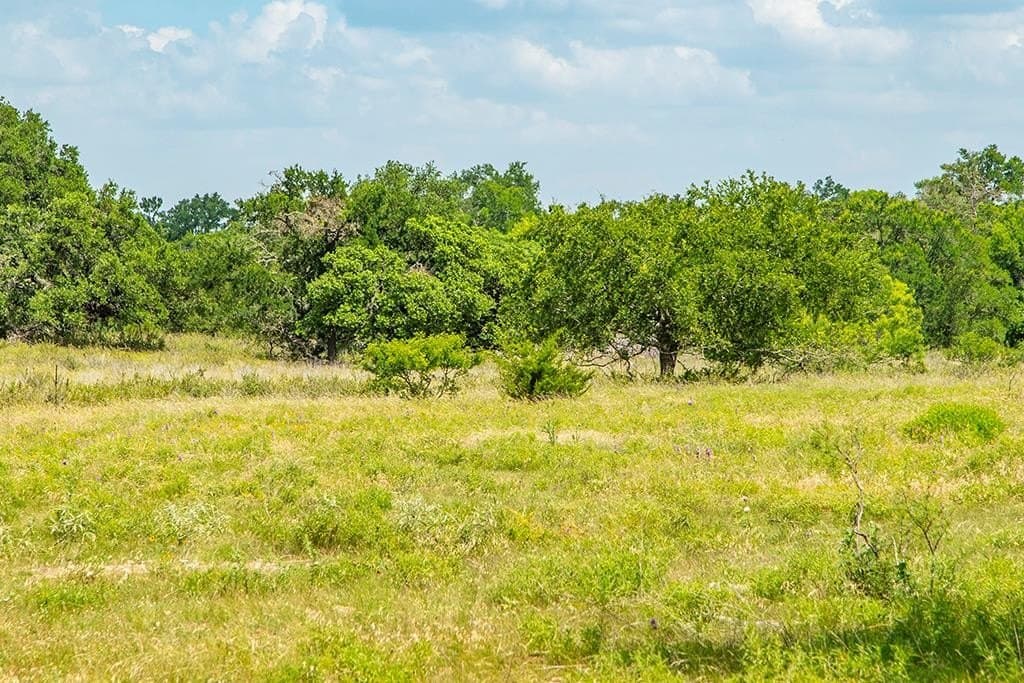 20.05 acres in Gillespie County gallery image 4