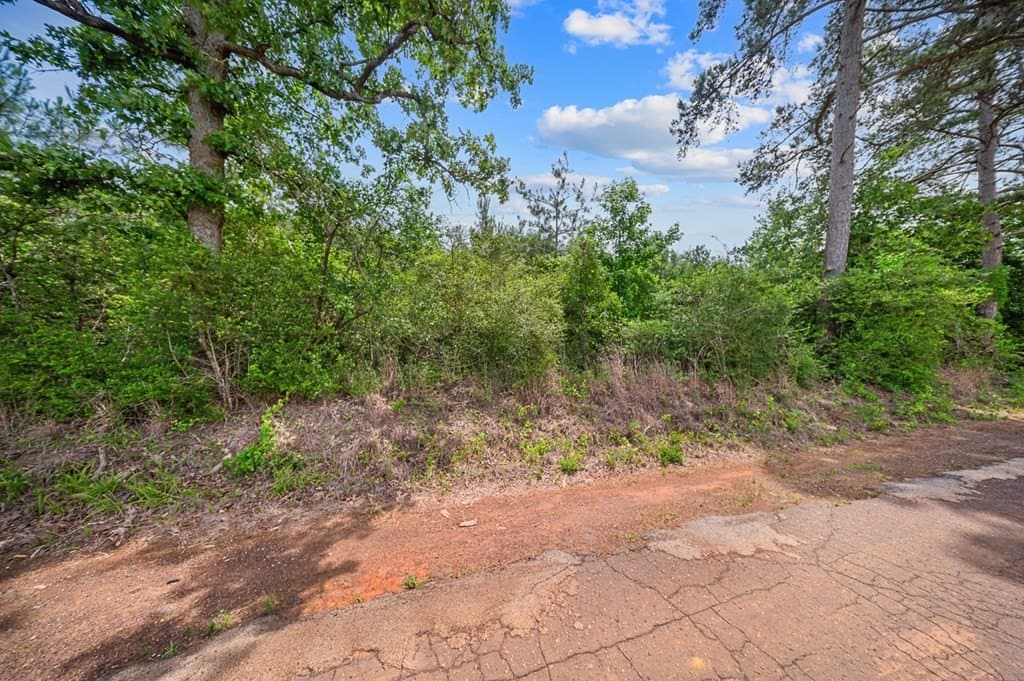 10.25 acres in Texas County gallery image 2