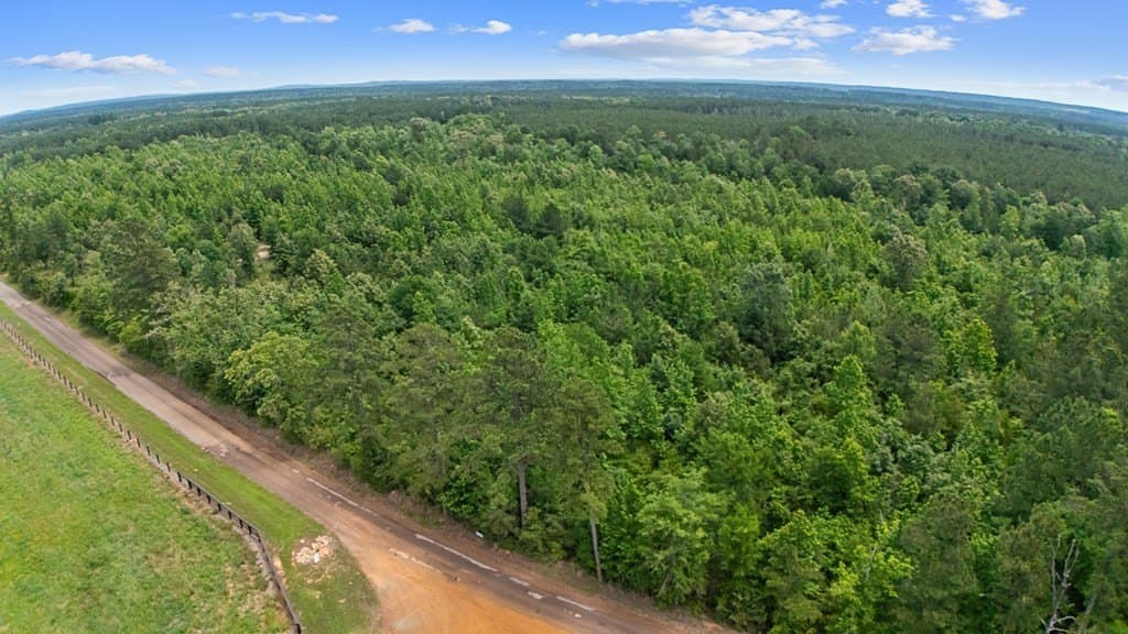 10.25 acres in Texas County gallery image 3