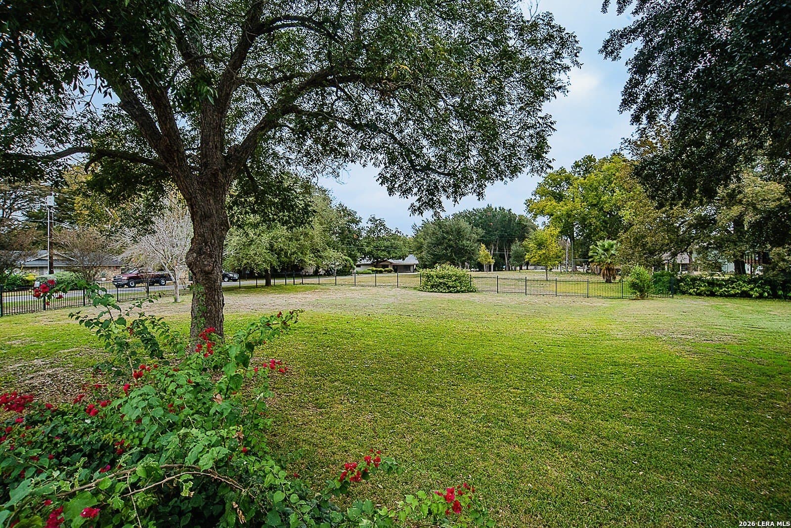 0.23 acres in Guadalupe County gallery image 3