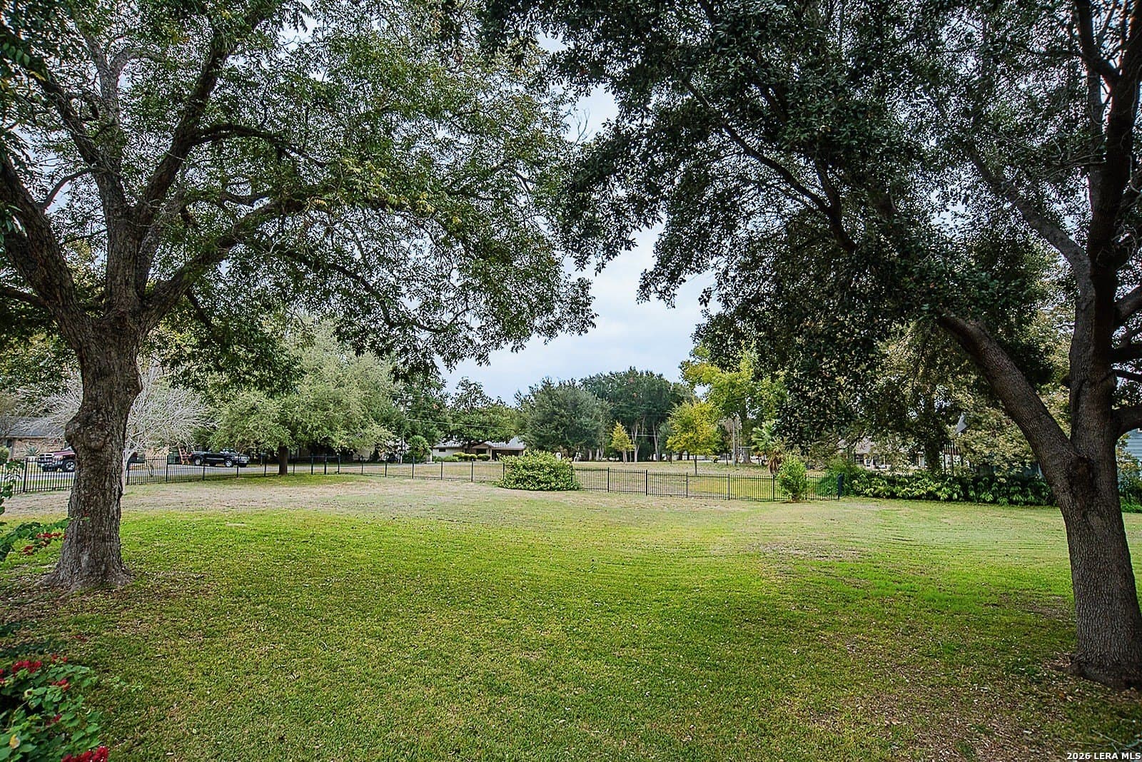 0.23 acres in Guadalupe County gallery image 2