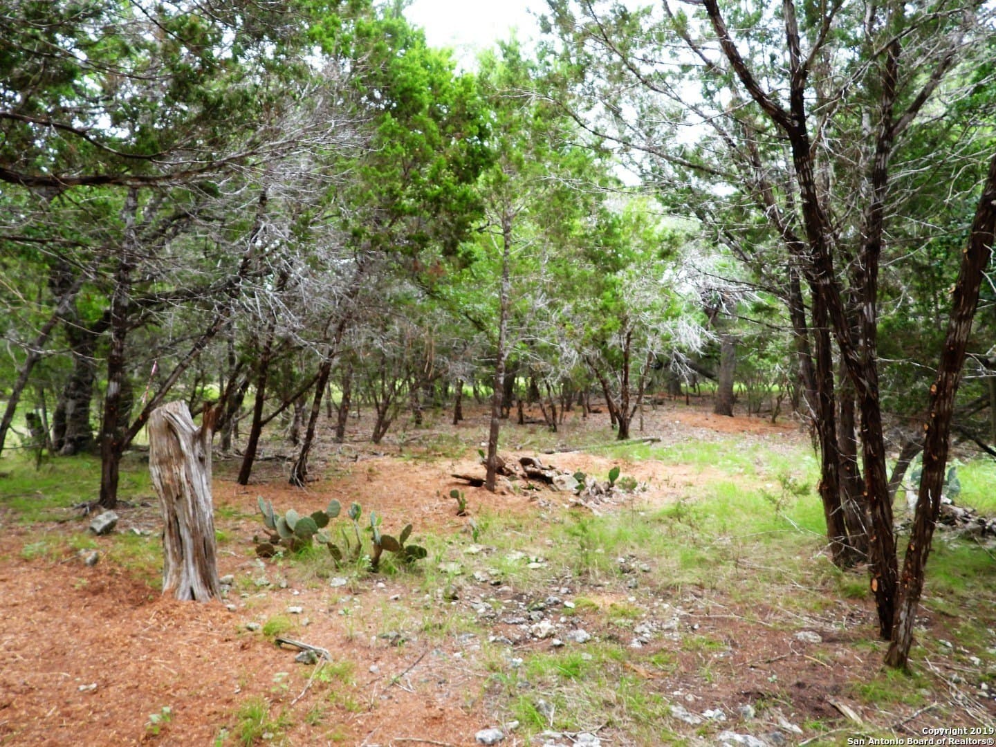 0.73 acres in Bandera County - photo 10