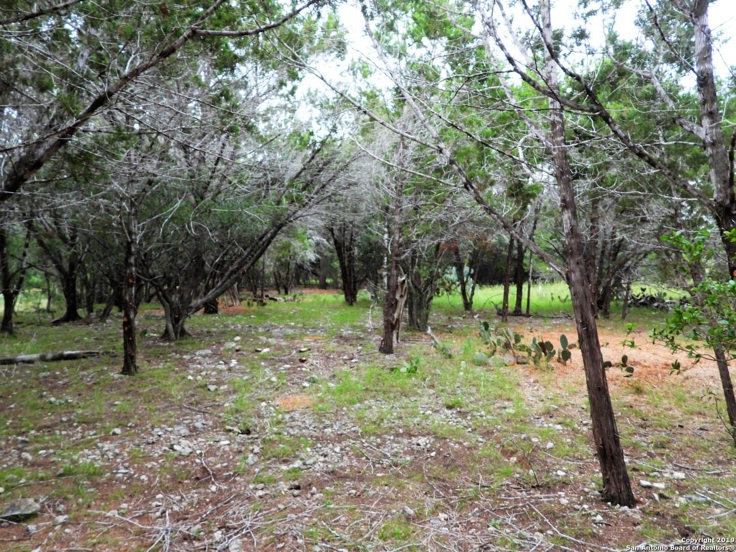 0.73 acres in Bandera County - photo 8