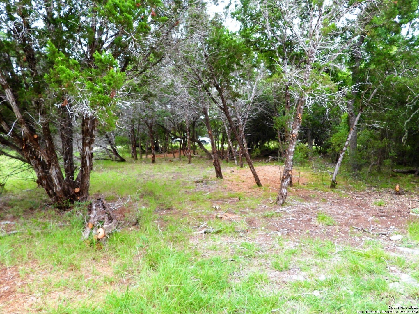 0.73 acres in Bandera County gallery image 4