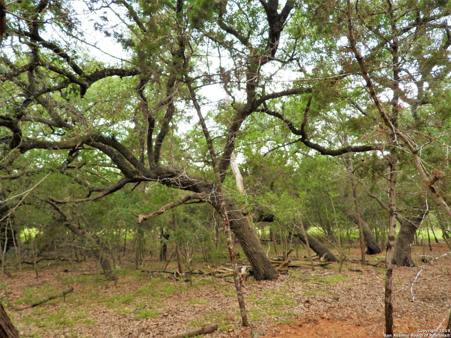 0.73 acres in Bandera County - photo 9