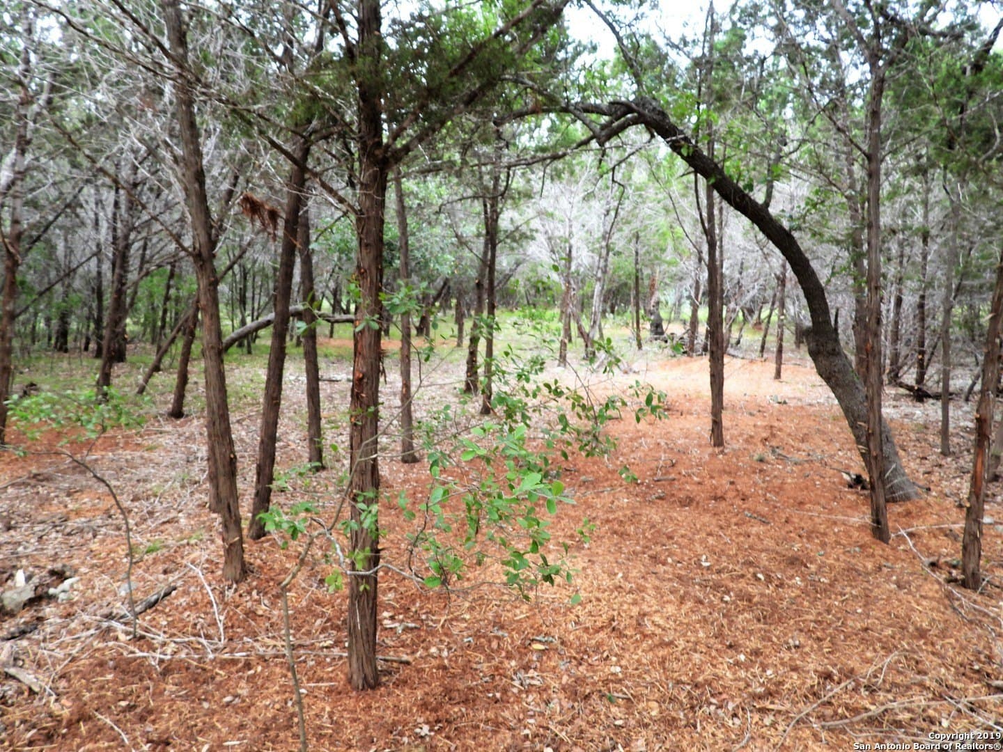 0.73 acres in Bandera County - photo 7