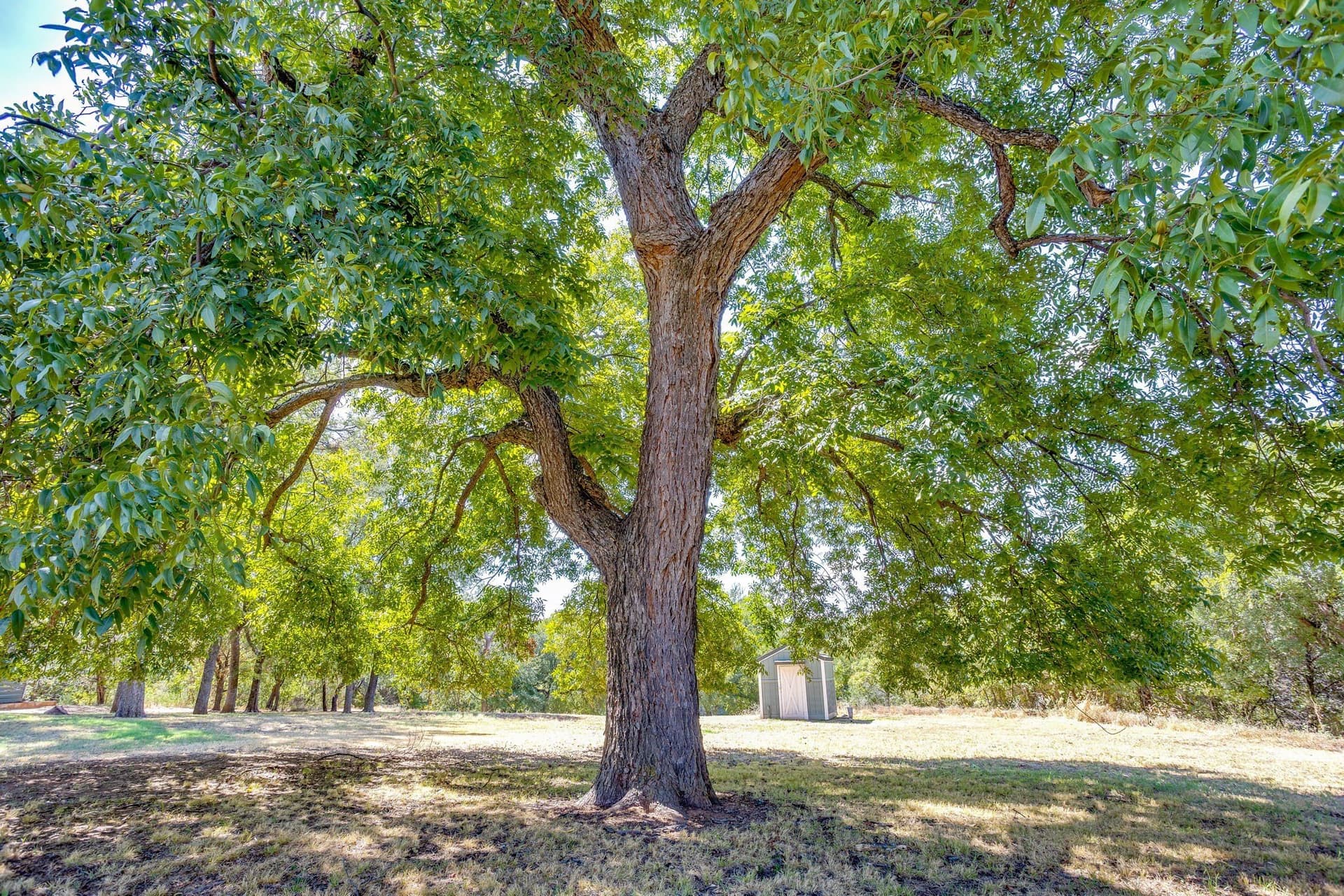 13.65 acres in Palo Pinto County - photo 38