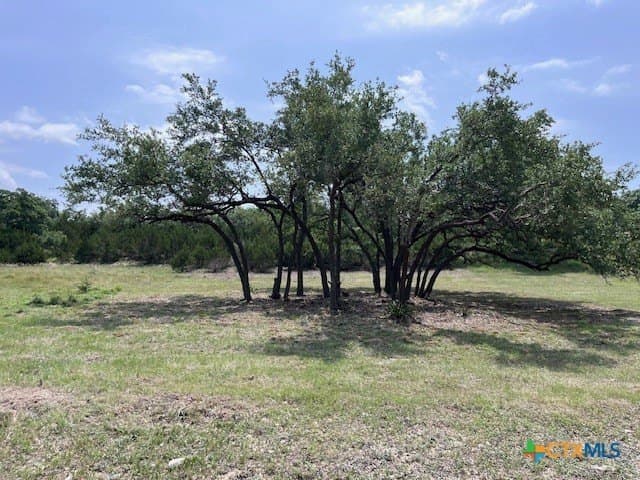 0.51 acres in Comal County - photo 13