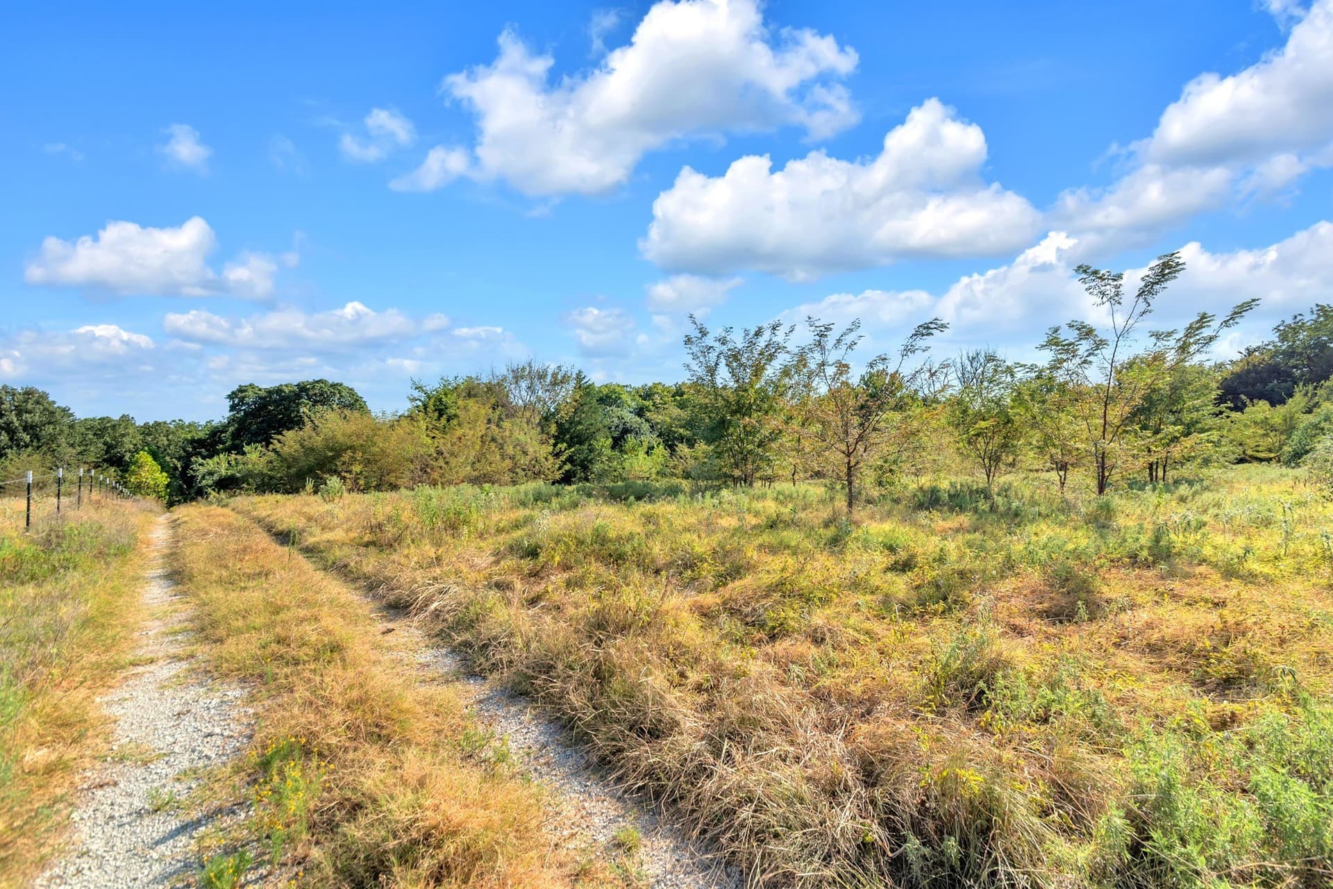 11.11 acres in Fannin County - photo 8