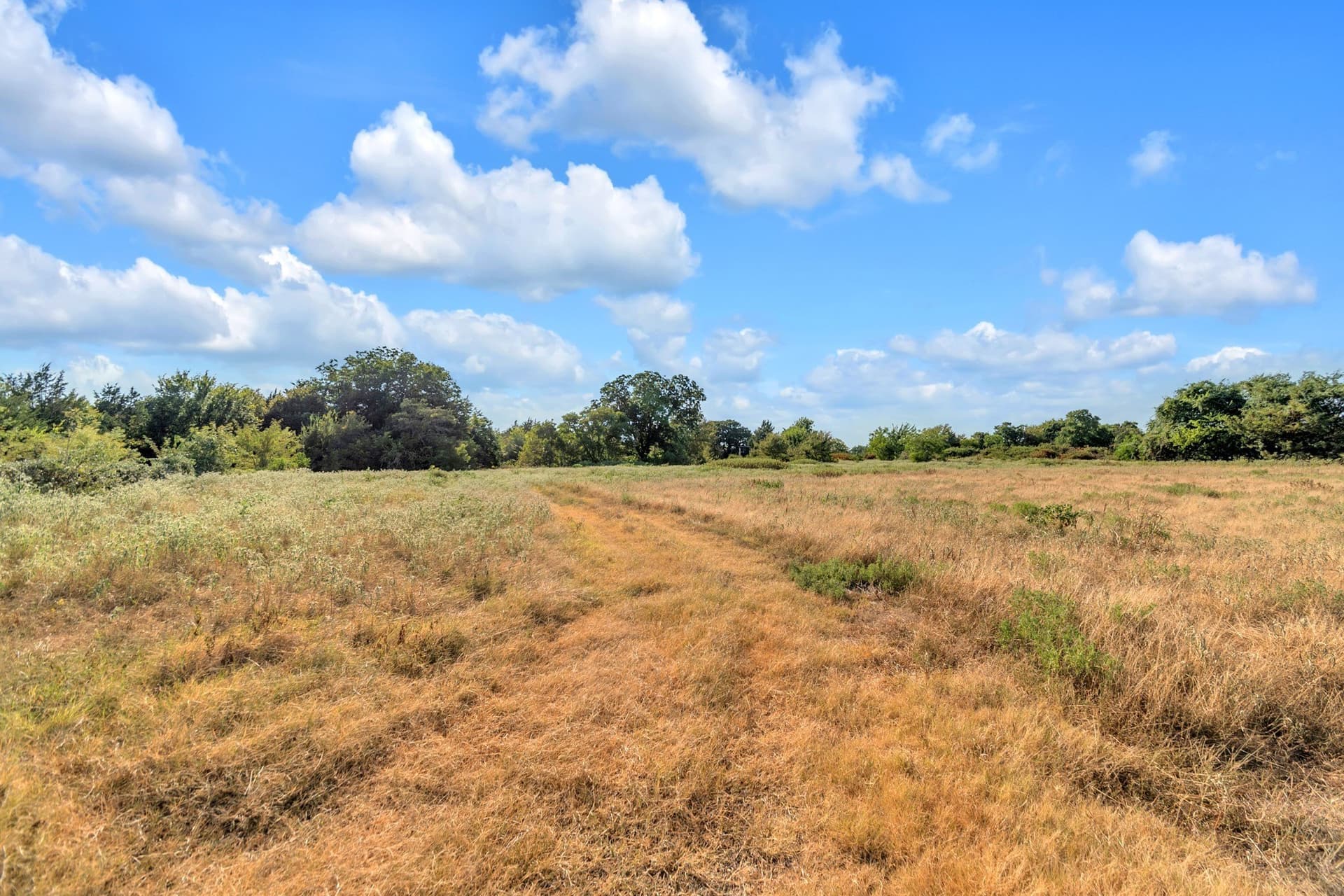 11.11 acres in Fannin County - photo 2