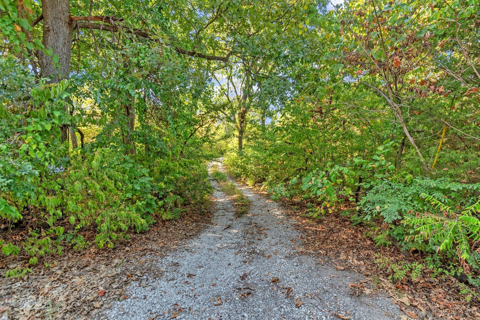11.11 acres in Fannin County - photo 3