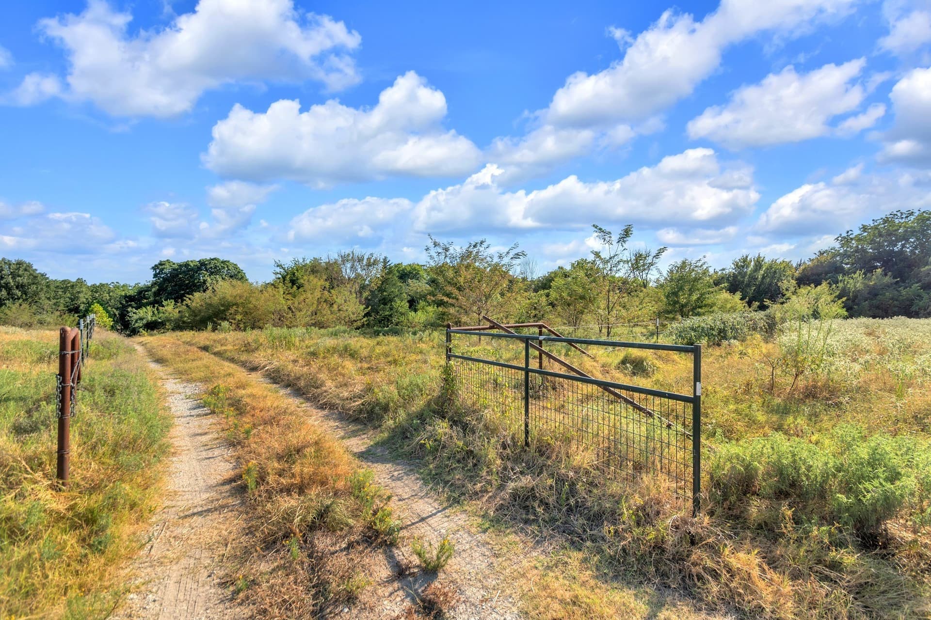 11.11 acres in Fannin County - photo 6