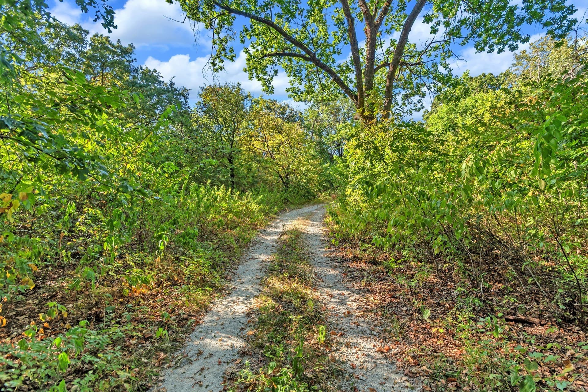 11.11 acres in Fannin County - photo 9